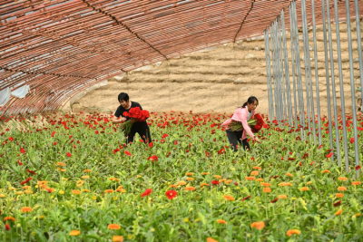 China's Modern Science And Technology Injects New Vitality Into Traditional Agriculture