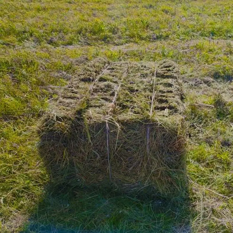Hay Baler Hay Baler