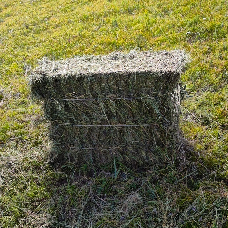 पुआल बेलर