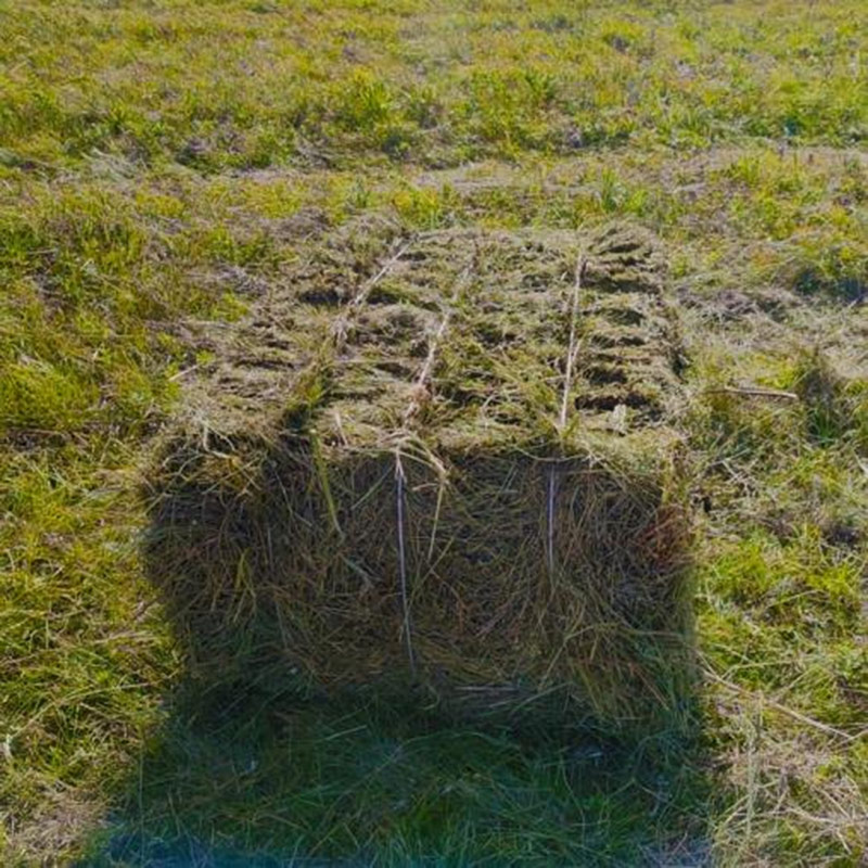 पुआल बेलर Straw Baler