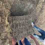 Square Baler  Three  Ropes