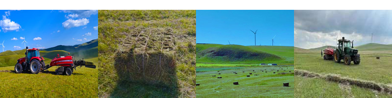 स्क्वायर स्ट्रॉ बेलर स्क्वायर स्ट्रॉ बेलर