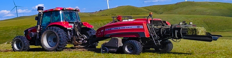 स्क्वायर स्ट्रॉ बेलर स्क्वायर स्ट्रॉ बेलर