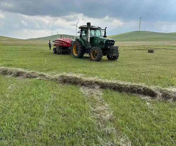 स्क्वायर हे बेलर स्क्वायर हे बेलर