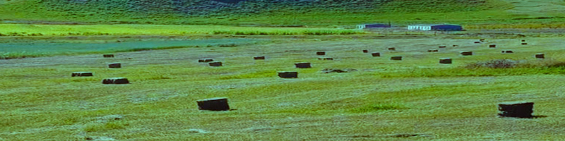 स्क्वायर स्ट्रॉ बेलर स्क्वायर स्ट्रॉ बेलर