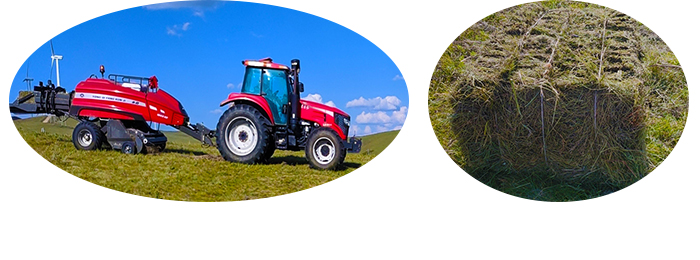 हे बेलर तीन रस्सियाँ हे बेलर तीन रस्सियाँ