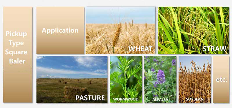हे बेलर निर्माता हे बेलर निर्माता