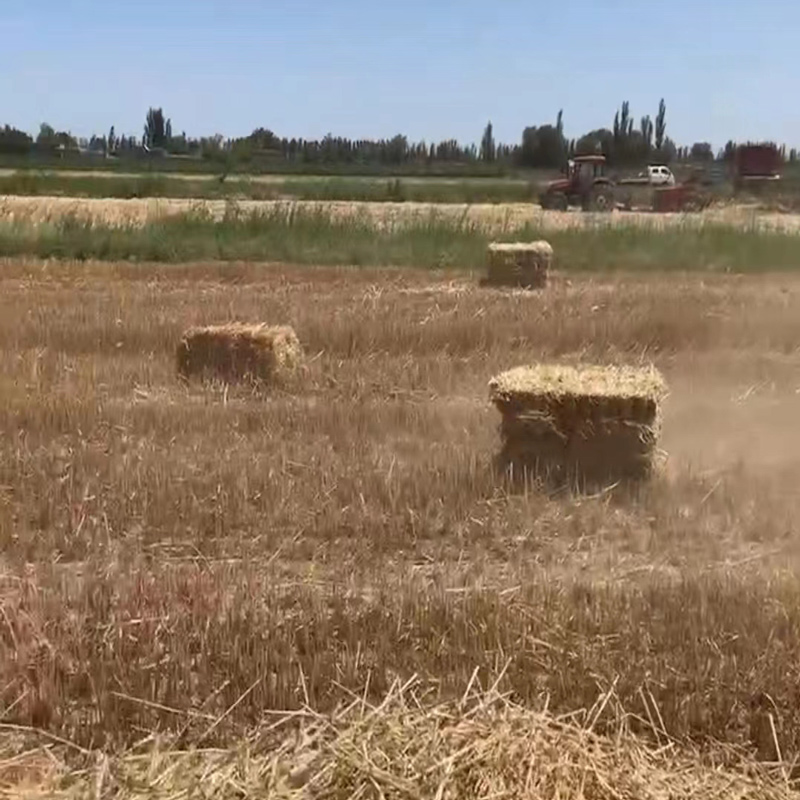 स्क्वायर स्ट्रॉ बेलर