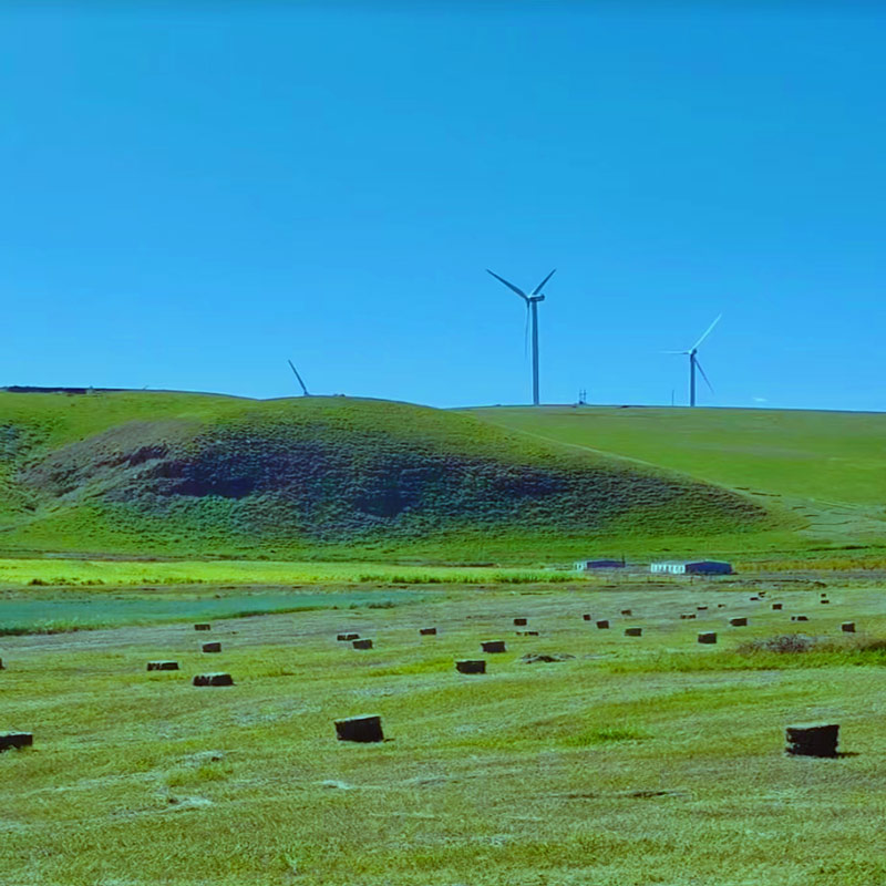 चारा बेलर